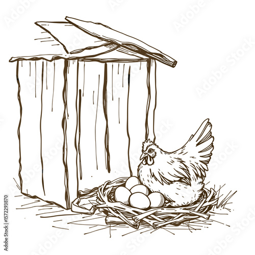 
Chicken Nesting in a Wooden Coop, Representing Farm Animals and Rural Living


