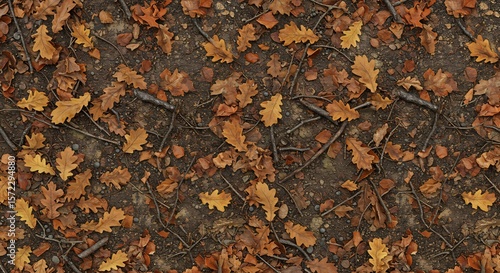 Overhead view of a forest floor covered with scattered dry brown and yellow oak leaves and small branches