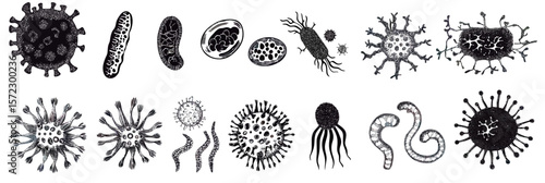 Set of diverse black and white bacteria and virus icons with detailed minimalist vector design featuring various microbial shapes and structures