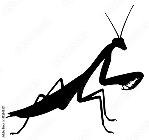 Vector Silhouette Of A Praying Mantis.