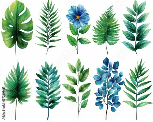 Watercolor illustration of various leaves and a flower on white. Use this for invitation, card, banner, decoration, or any graphic design.