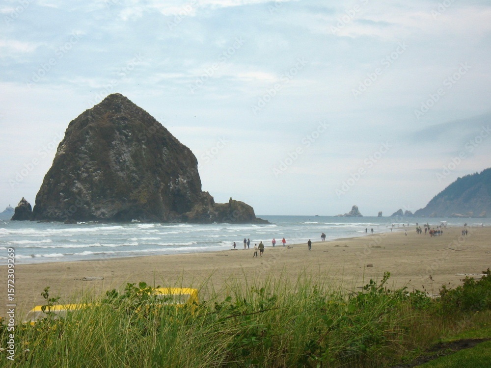 Fototapeta premium beach and rocks