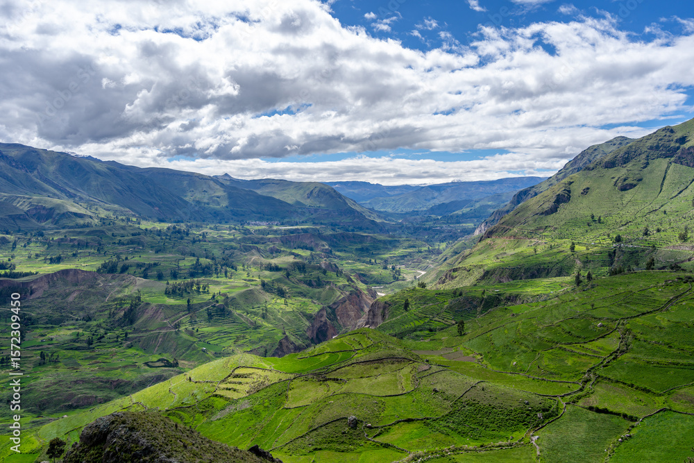 Naklejka premium Colca Canyon with a clear blue sky, Peru
