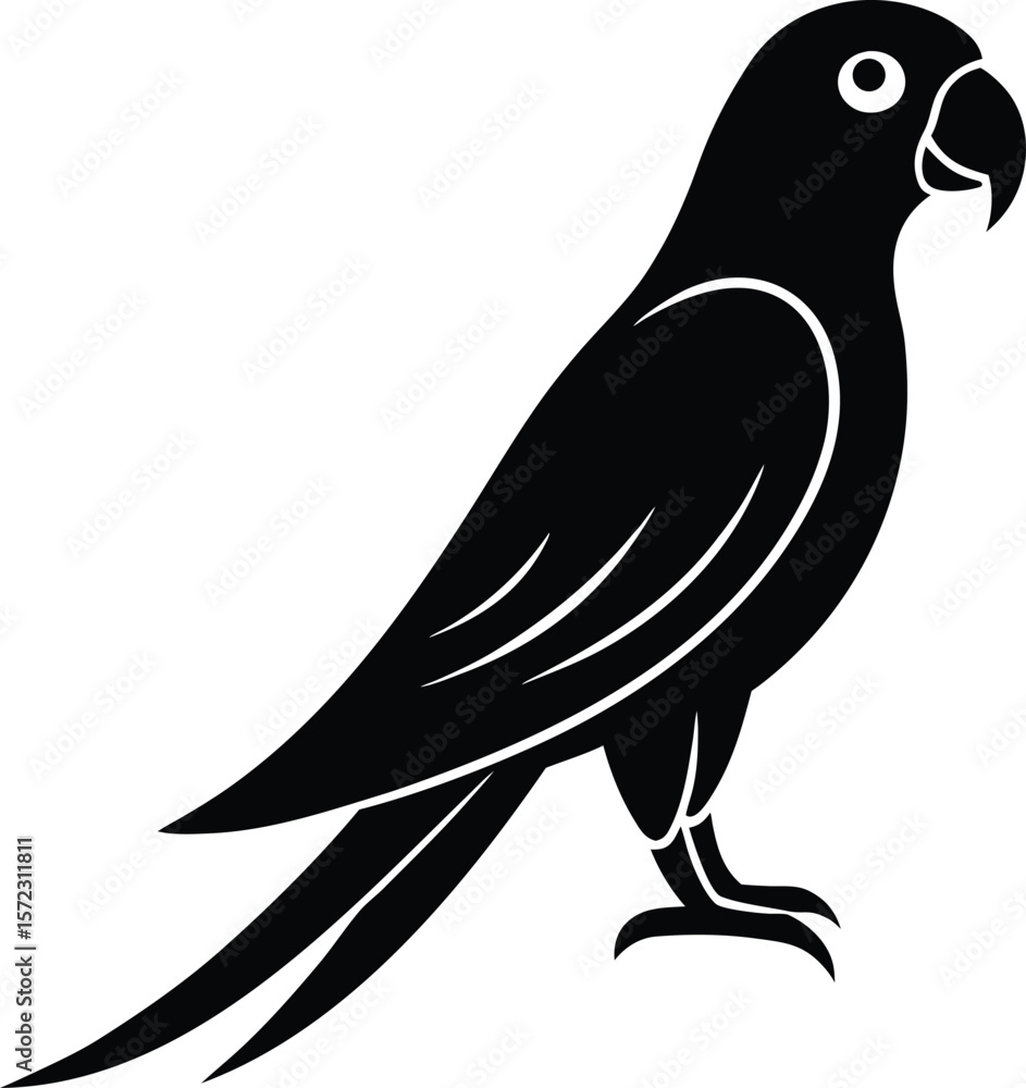 Fototapeta premium vector illustration of a bird