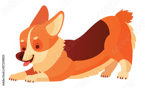 Adorable welsh corgi dog, known for its short legs and playful nature, is stretching its body, showing its tongue, and getting ready for playtime
