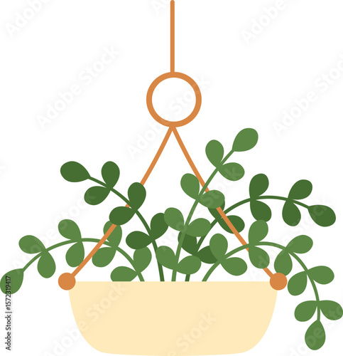Hanging houseplant with long stems and oval leaves in a beige pot, suspended by three orange strings from a circular hanger, adding a touch of nature and elegance to interior design