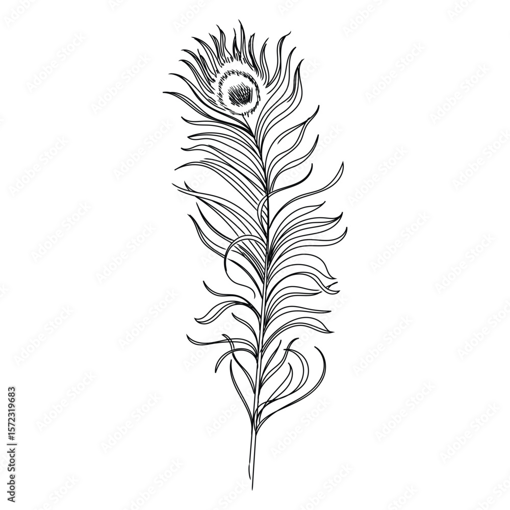 Fototapeta premium vector colored feathers set bird feathers painted colorful patterns design.