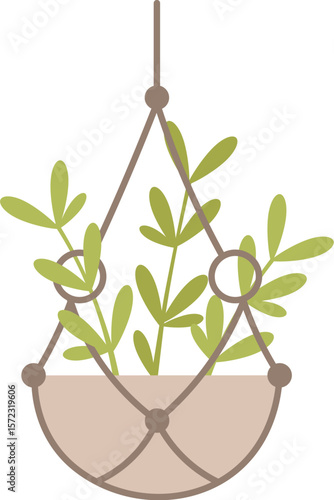 Macrame plant hanger showcasing a small green plant, enhancing home decor and bringing a refreshing touch of nature into any living space or room design