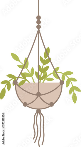 Decorative macrame plant hanger showcasing a small green plant, enhancing interior spaces with a touch of nature and bohemian flair, perfect for home decor enthusiasts