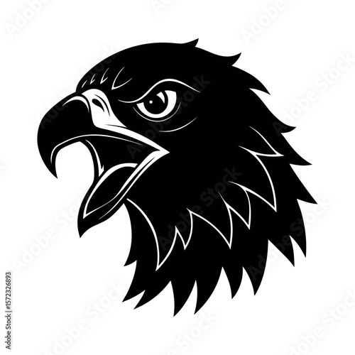 Augur Buzzard Angry Expression