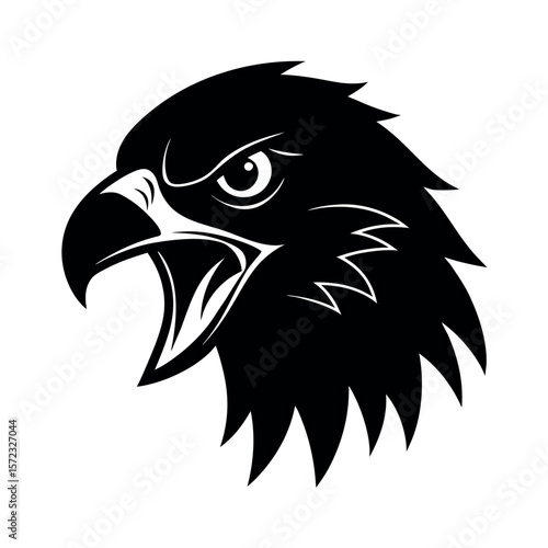 Black Chested Buzzard Eagle Face