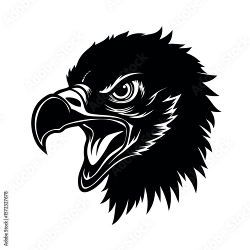 Cinereous Vulture Angry Look