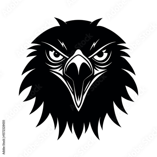 Lesser Spotted Eagle Angry Clip