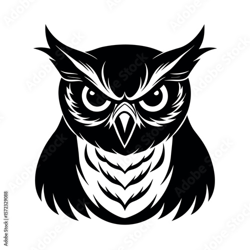 Spotted Eagle Owl Angry Look