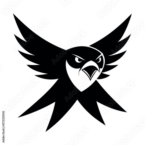Swallow Tailed Kite Angry Head