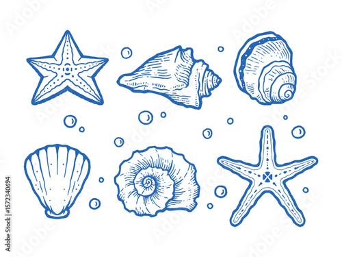 hand drawn seashell, strafish, sea element illustrations