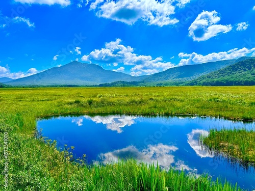 池に映る雲、晴れた日の自然の風景、新緑の尾瀬。