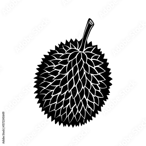 Black and white illustration of a spiky durian fruit isolated on white background