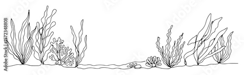 underwater coral reef outline vector