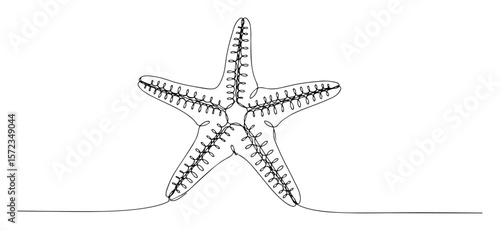 starfish lying on ocean floor line art