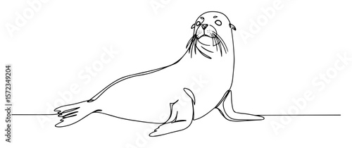 sea lion resting on beach line art illustration