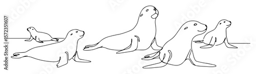 group of arctic seals resting line art