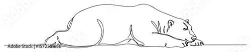 sleeping polar bear line art illustration