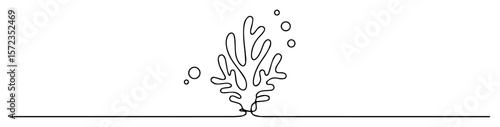 water splash rising up