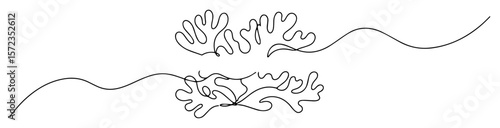 double coral plants under sea