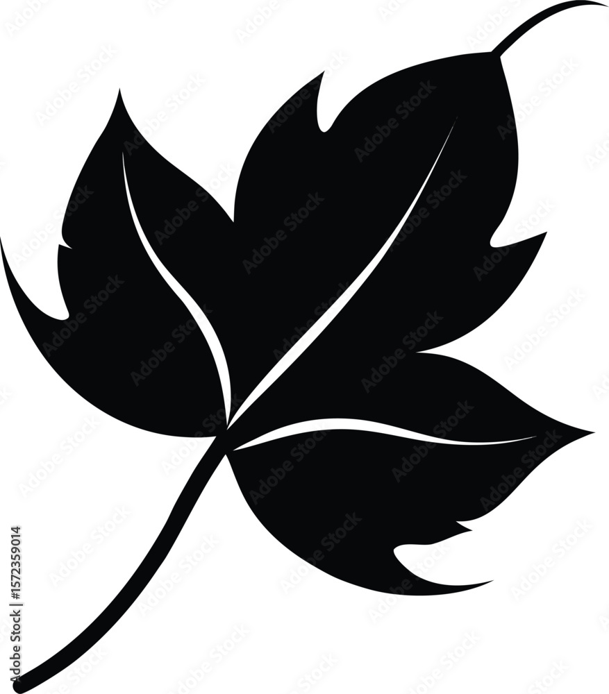 Fototapeta premium Leaf Symbol vector illustration on transparent background