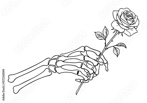 skeleton hand holding rose detailed black and white line drawing