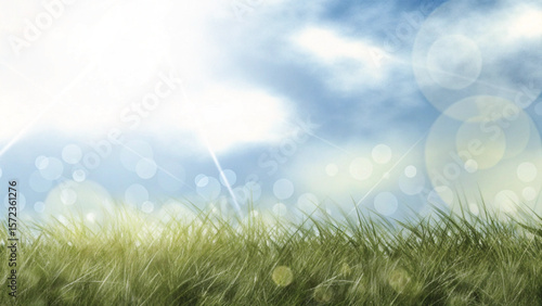 Bright sunny spring meadow with green grass and colorful flowers under a clear sky