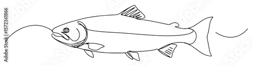 salmon fish continuous one line drawing
