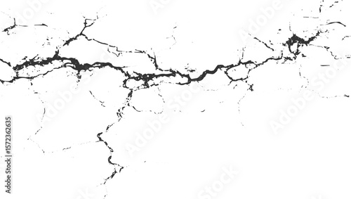 Black abstract crack pattern on white background vector