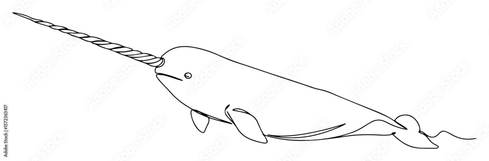Fototapeta premium narwhal swimming in ocean line vector