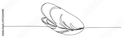 closed mussel shell on water line art