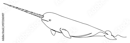 narwhal swimming in ocean line vector