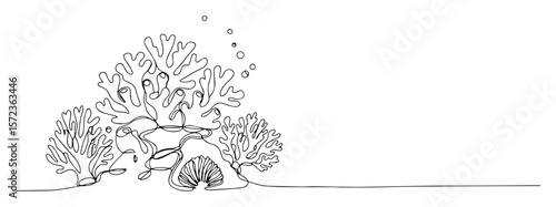underwater coral scene with shells vector