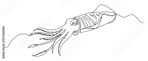 squid tentacles underwater vector drawing