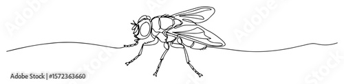 realistic housefly insect side view vector