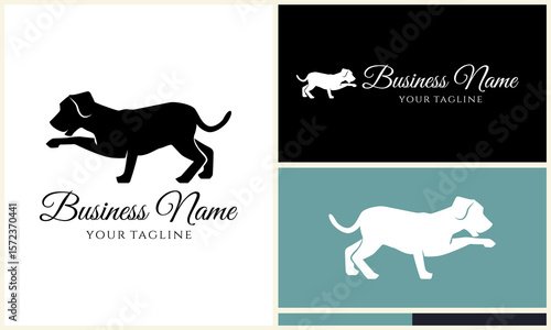 Dog Logo Design Variations. (7)