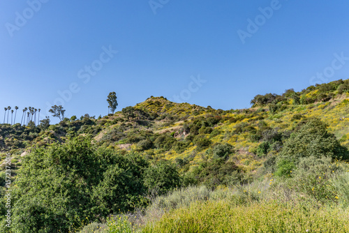 Bilde på lerret Mount Hollywood Trail, Griffith Park, Los Angeles