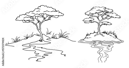 acacia tree on african savanna outline set vector