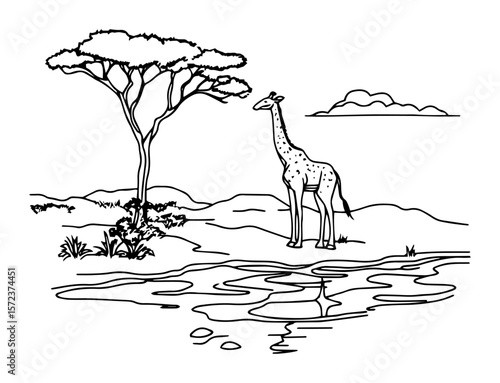 giraffe in african savanna landscape coloring page vector