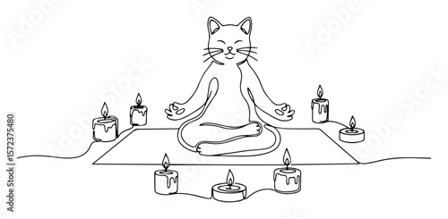 cat meditating with candles in yoga position