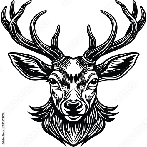 Majestic deer head