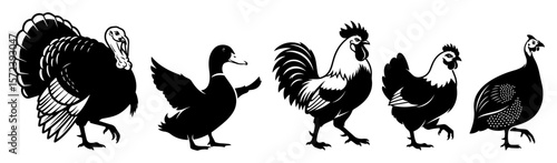 farm birds silhouette set poultry icon vector illustration