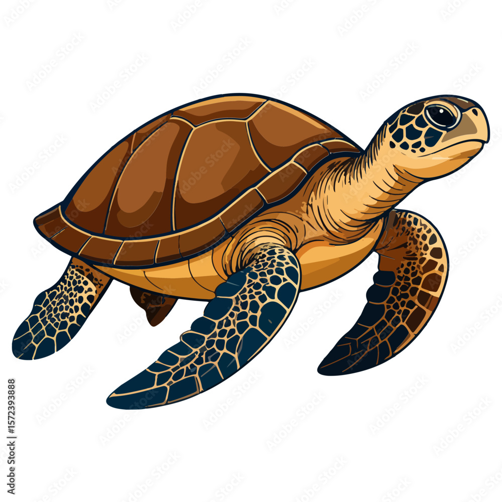 Obraz premium Detailed vector illustration of a sea turtle, rendered with bright highlights and dark shadows, isolated against a clean white background.