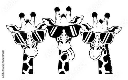 Photography cool giraffes wearing sunglasses cartoon illustration