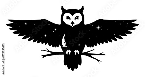 celestial owl silhouette with stars in wings double exposure